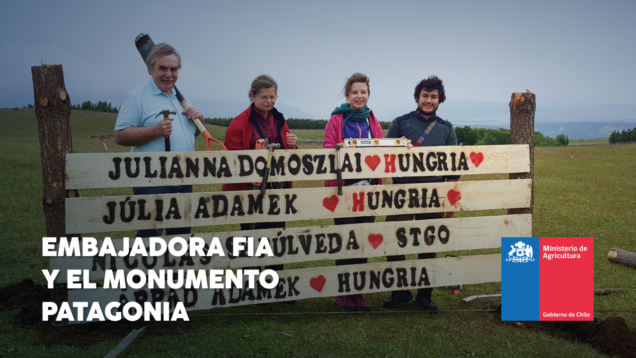 Monumento Patagonia: